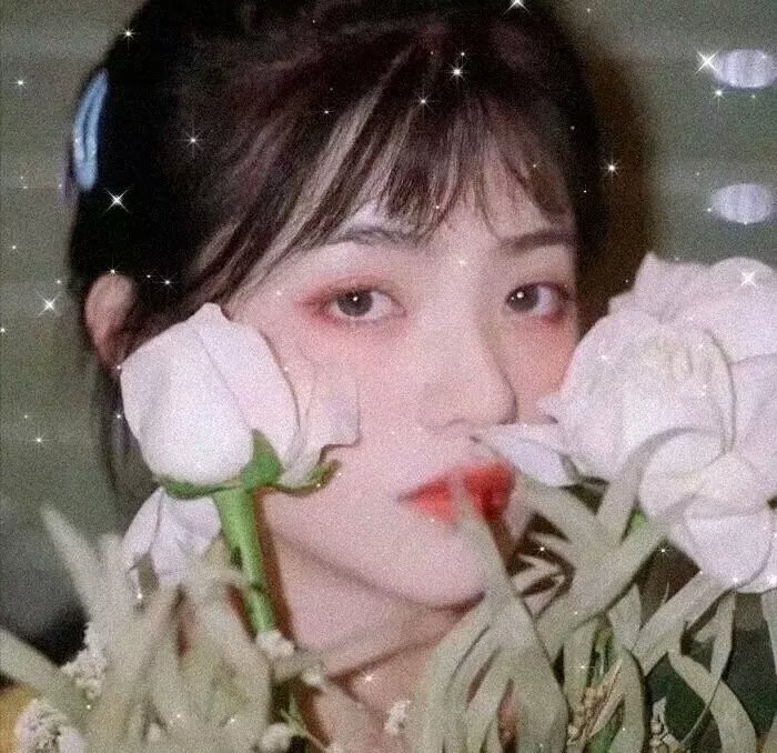 珍妮花的欲望续集