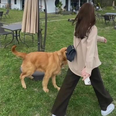 暴君