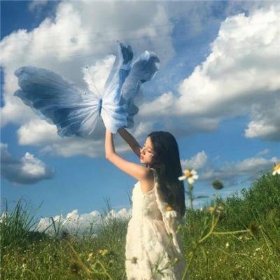 寻找特洛伊